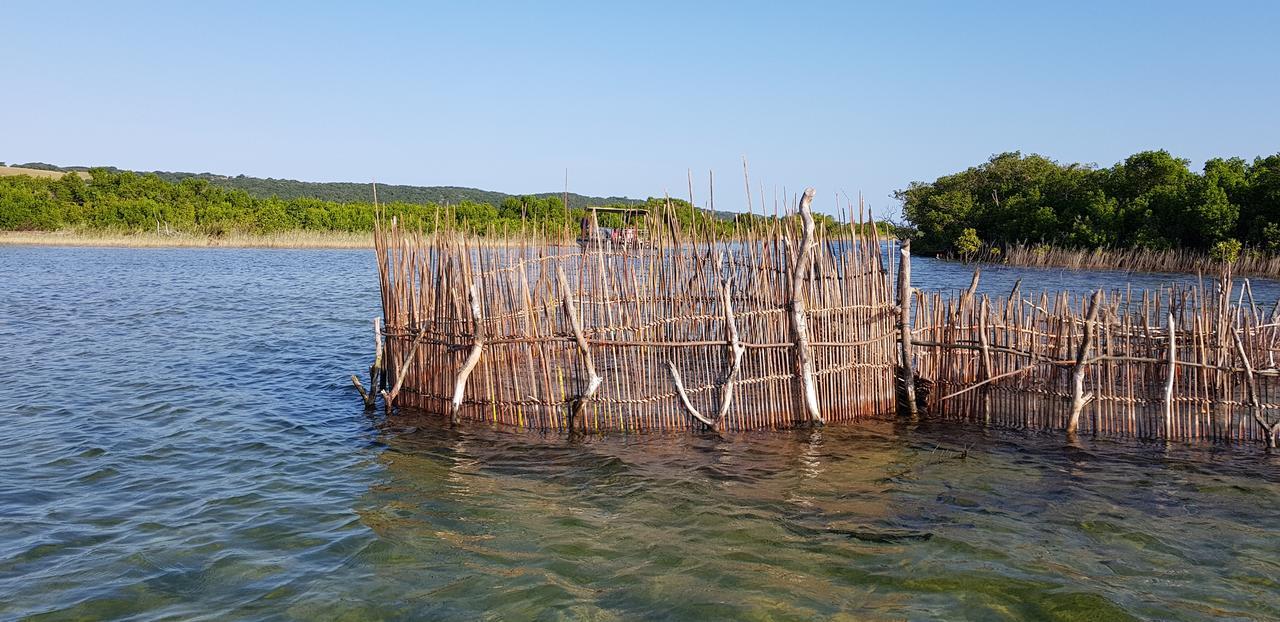 Kingfisher Bush Lodge Enkovukeni Luaran gambar