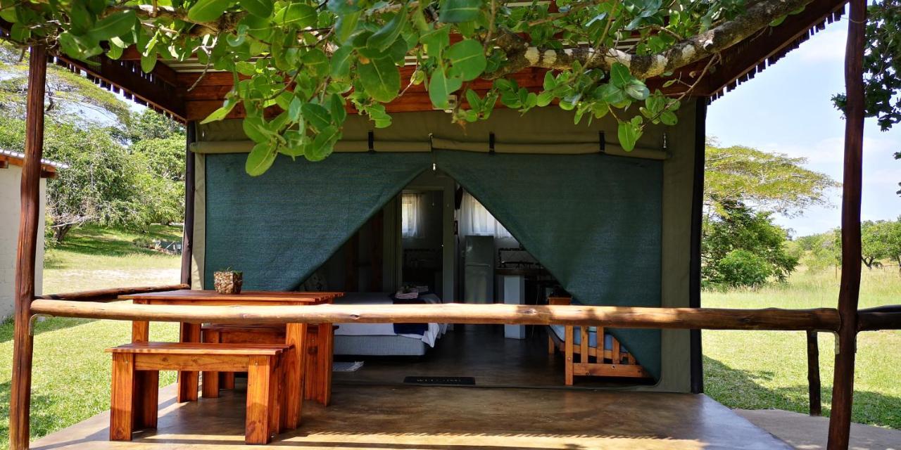Kingfisher Bush Lodge Enkovukeni Luaran gambar