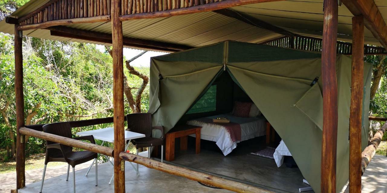 Kingfisher Bush Lodge Enkovukeni Luaran gambar